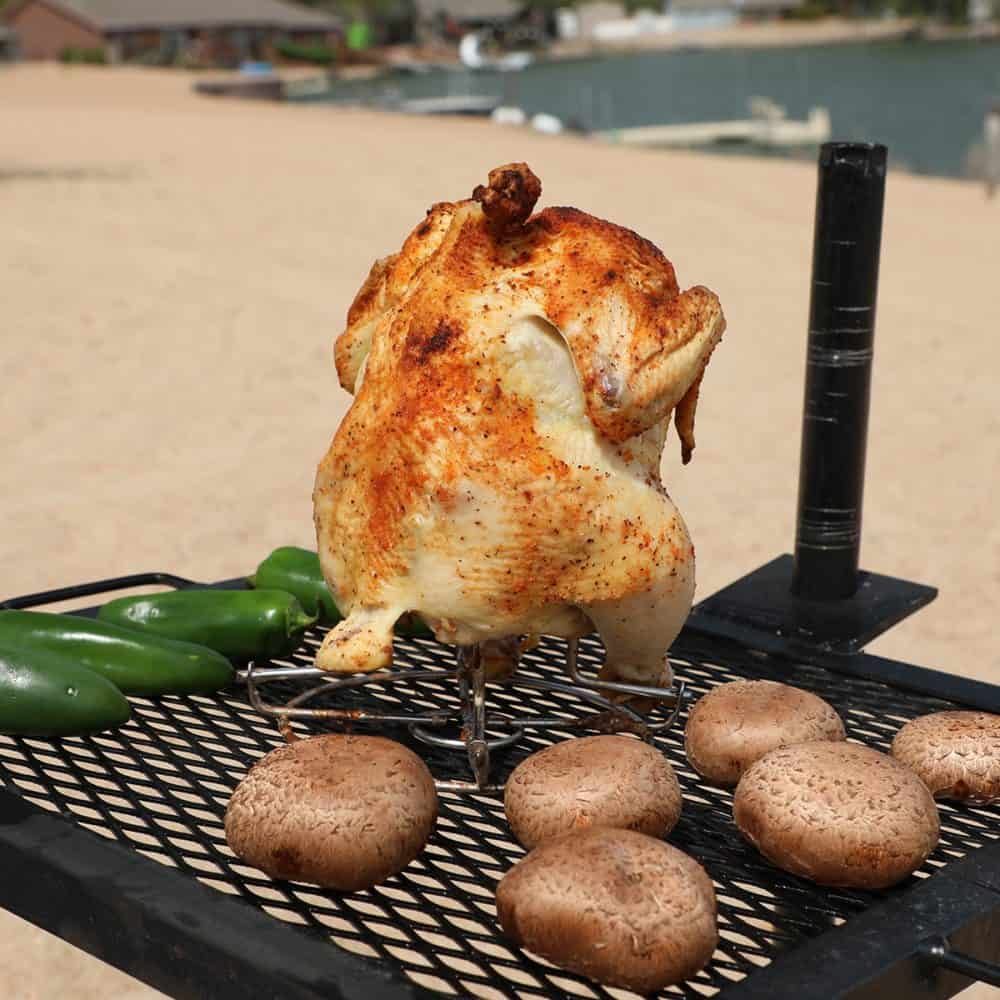 cancooker foldable chicken rack